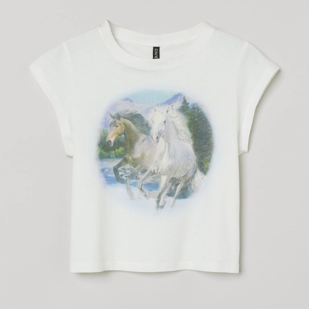 H&M Top